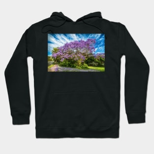 Jacaranda on Roghan Rd Hoodie